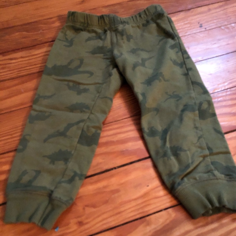 Dinosaur pants